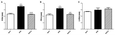 Inhibition of the NFATc4/ERK/AKT Pathway and Improvement of Thiol-Specific Oxidative Stress by Dronedarone Possibly Secondary to the Reduction of Blood Pressure in an Animal Model of Ventricular Hypertrophy